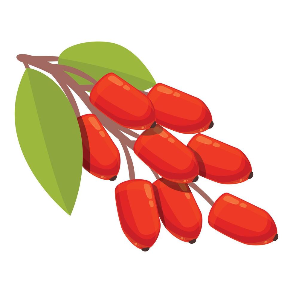 bär goji frukt ikon tecknad serie vektor. organisk blad vektor
