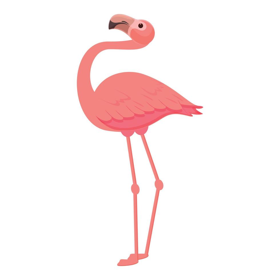 rosa flamingo ikon tecknad serie vektor. tropisk fågel vektor