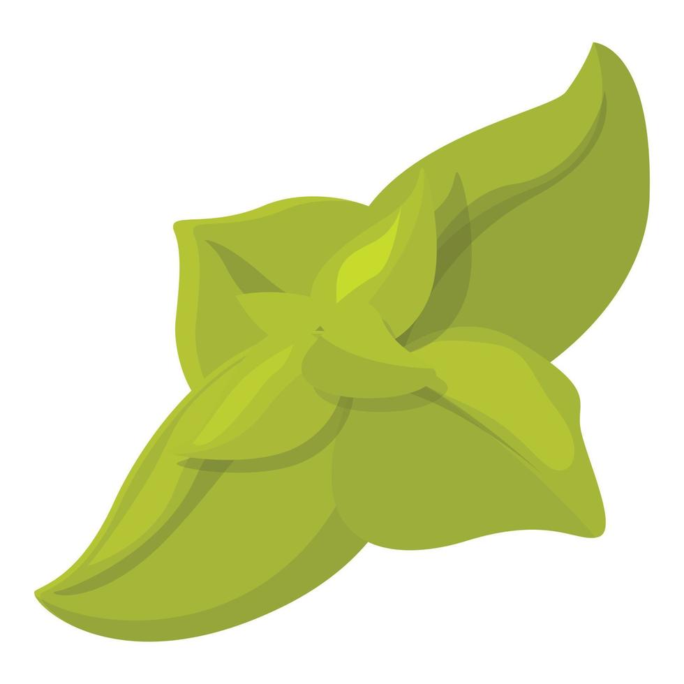 Oregano-Pflanzensymbol Cartoon-Vektor. Dillkraut vektor