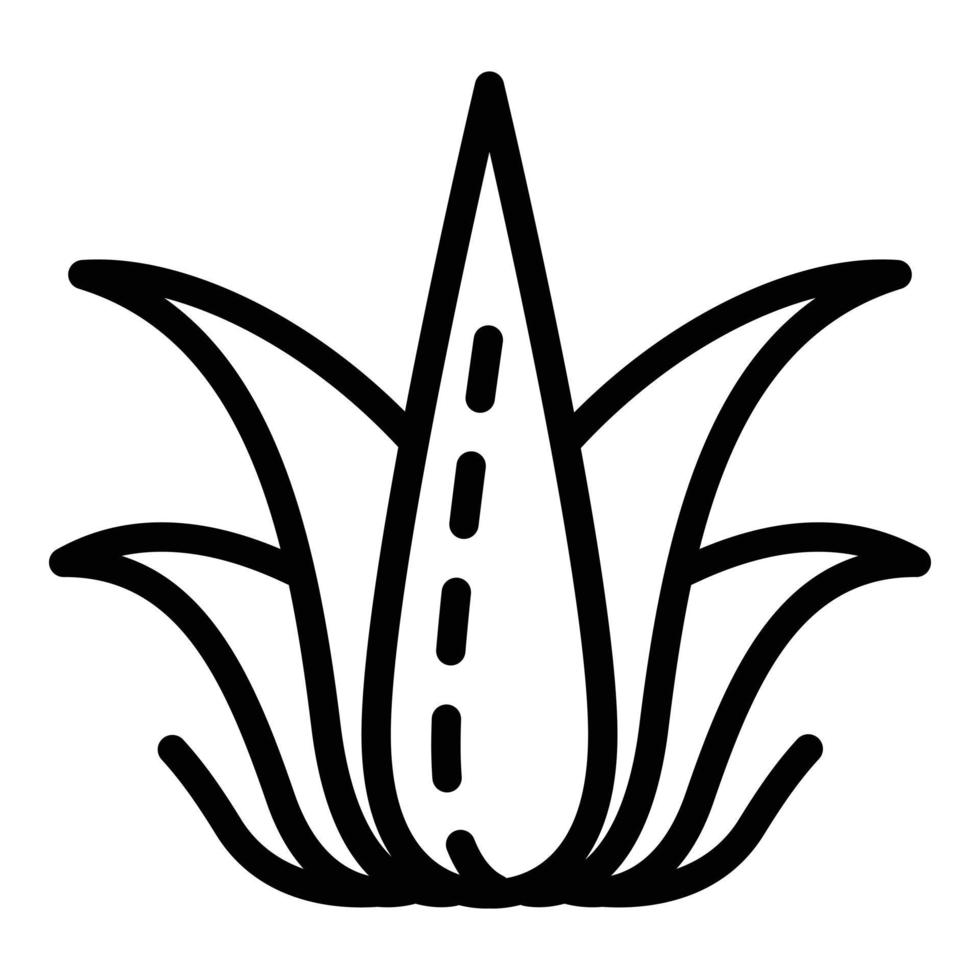 ört- aloe vera ikon, översikt stil vektor
