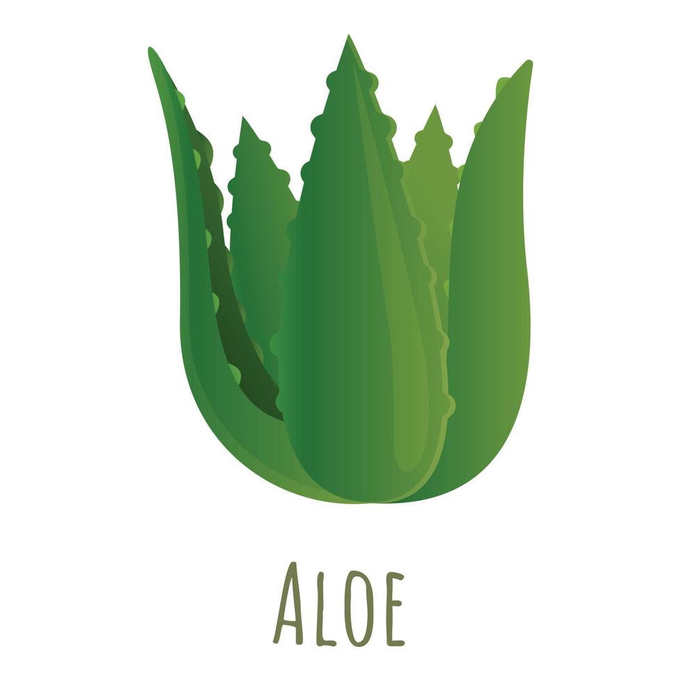 aloe växt ikon, tecknad serie stil vektor