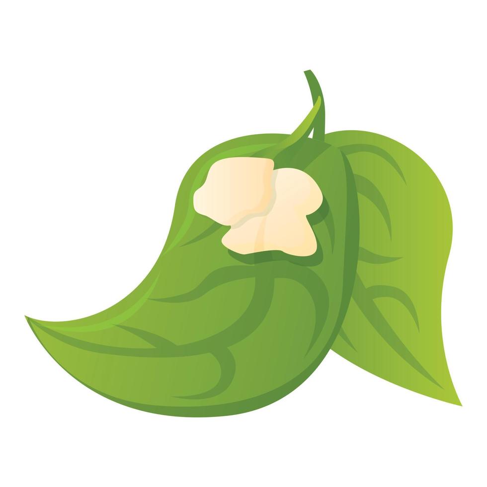 böna leafs ikon, tecknad serie stil vektor
