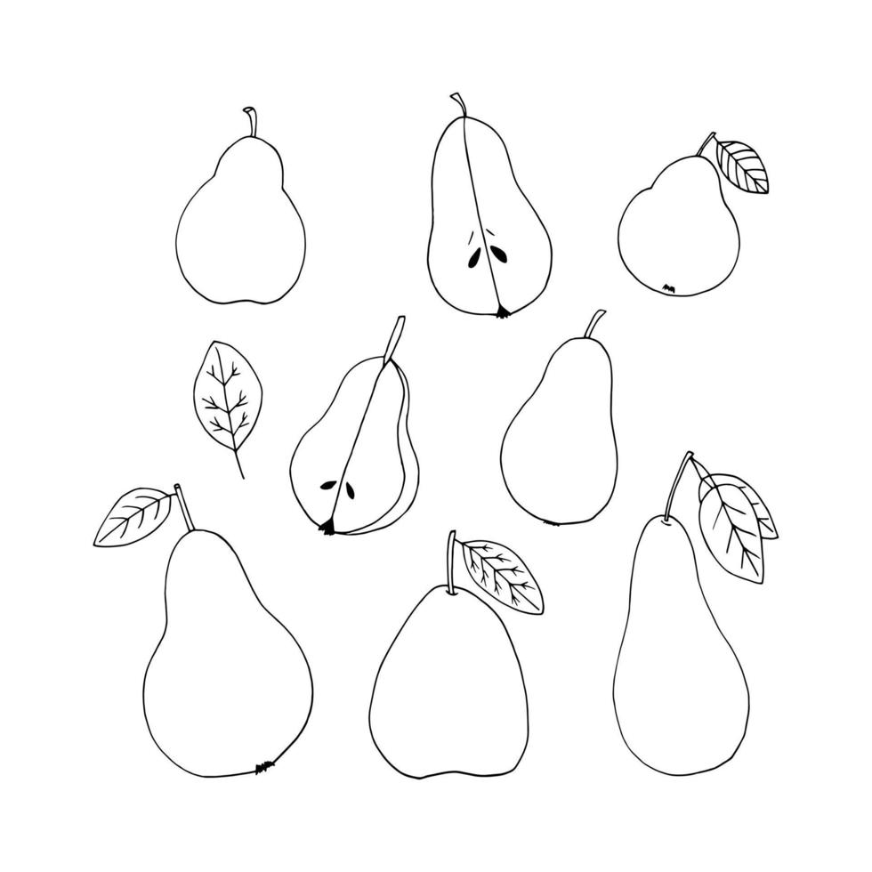 päron med blad hand dragen i klotter stil. frukt, mat. ikon, klistermärke. vektor