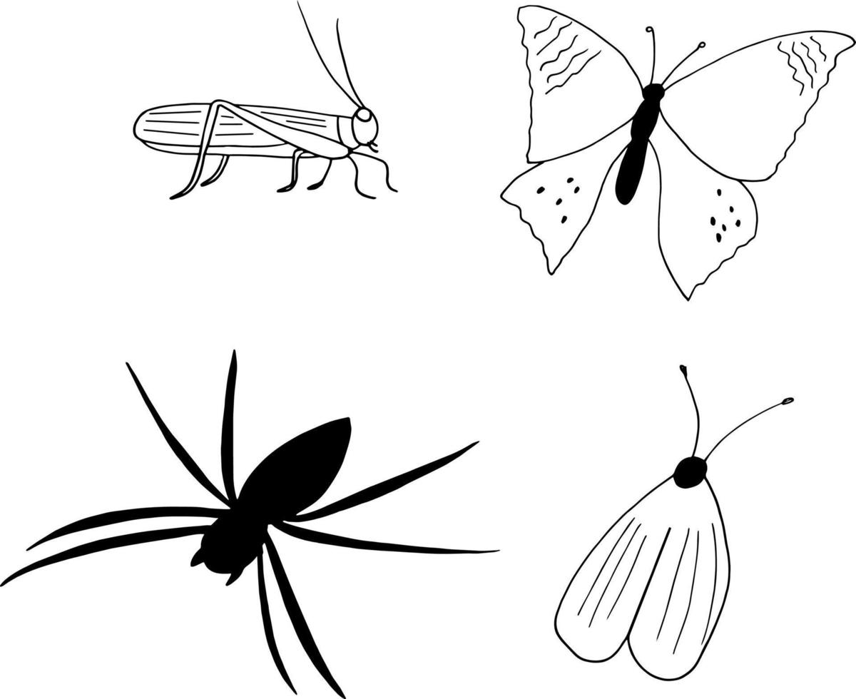 Spinne, Heuschrecke, Schmetterling, Heuschrecke, Motte handgezeichnet im Doodle-Stil. Insekt setzen. einfarbiger, einfacher, minimalistischer skandinavischer Silhouetten-Symbolaufkleber vektor