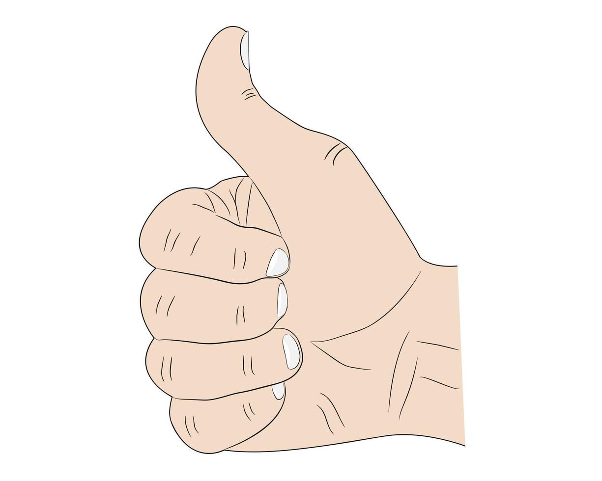 Handzeichen Daumen nach oben auf weißem Hintergrund vektor
