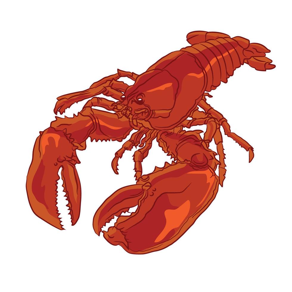 Seehummer-Vektorillustration, perfekt für Meeresfrüchte-Restaurant-Logo, Wanddekoration und Fischgeschäft-Logo-Design vektor