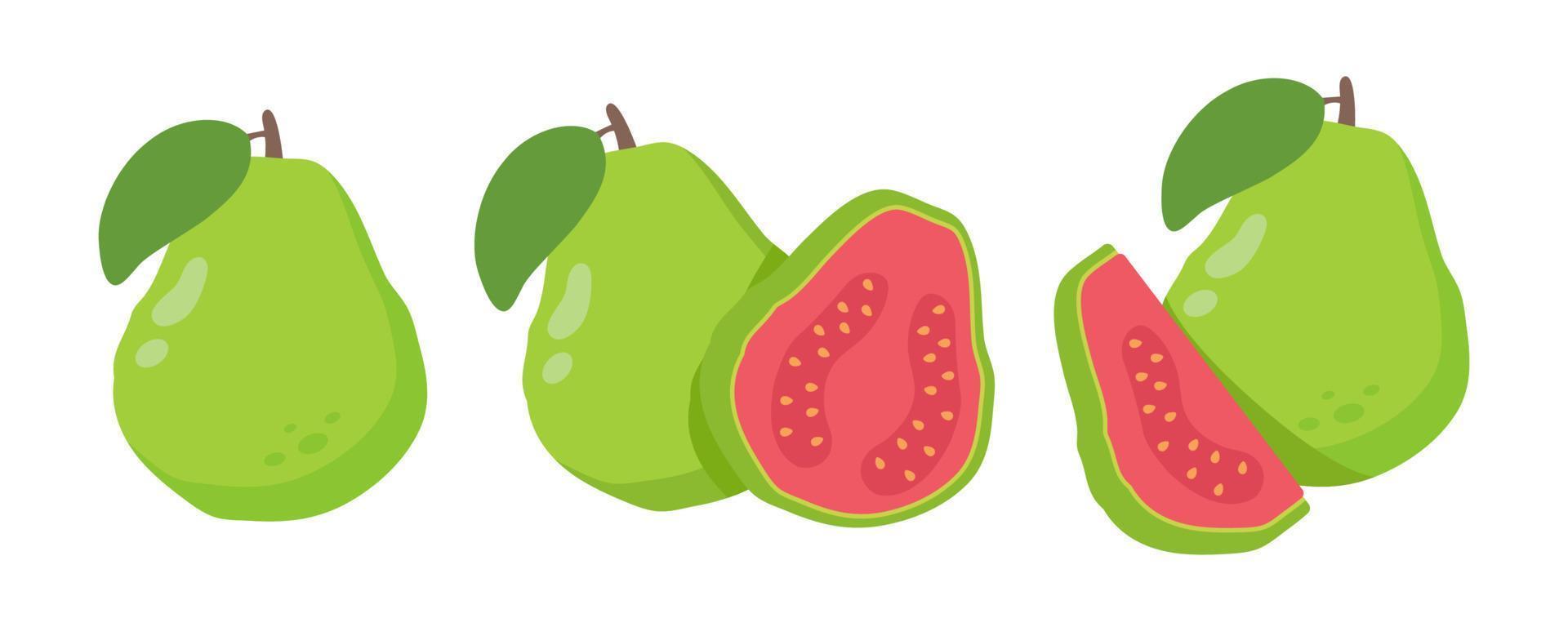 grüne guave süße frucht mit hohem vitamin c für die gesundheit für vegetarier. vektor