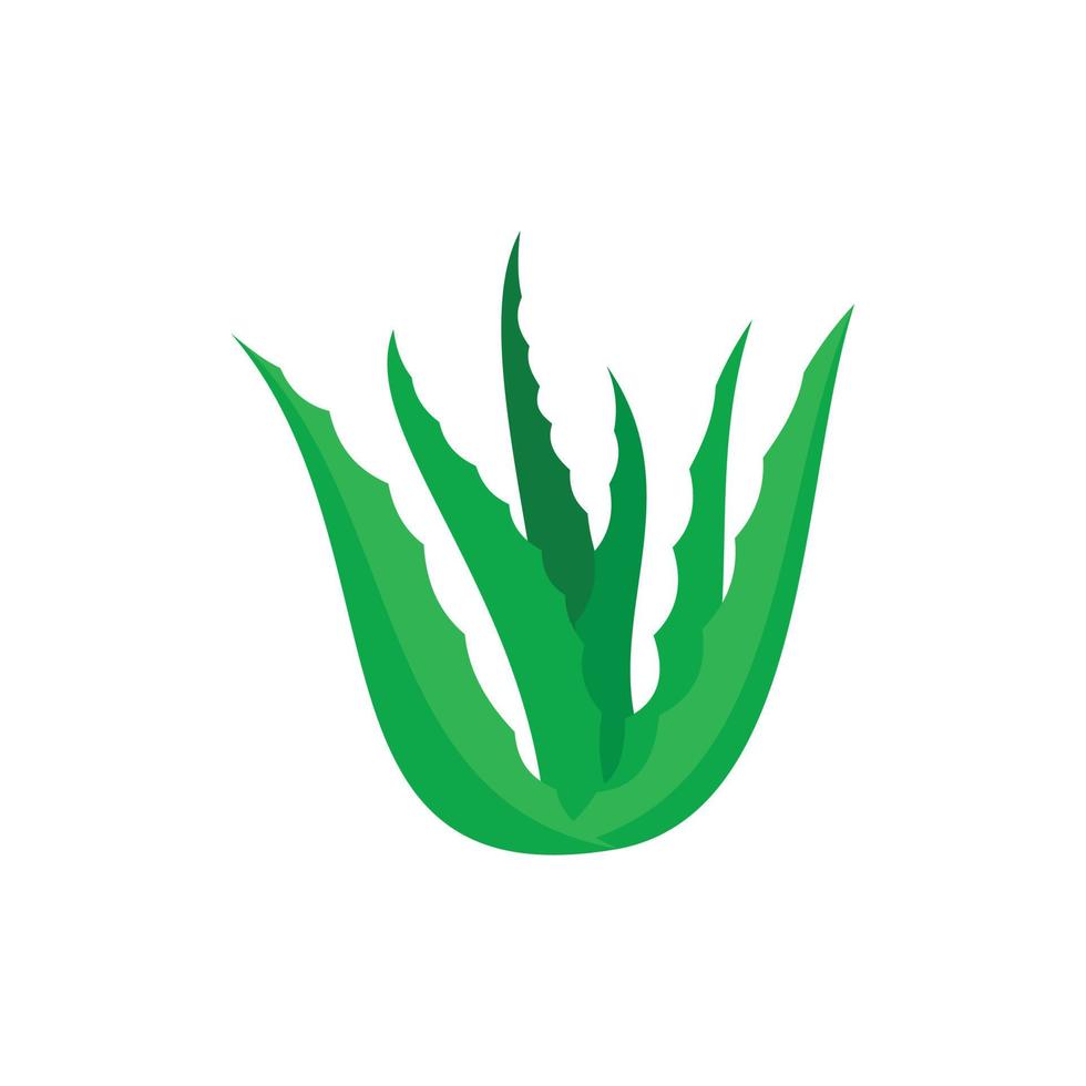 Grünes Aloe-Vera-Symbol, flacher Stil vektor