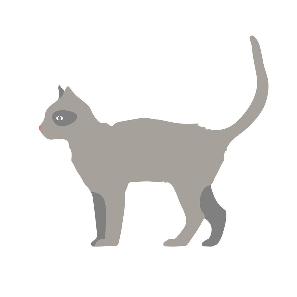 graue Katze. flache vektorillustration einer grauen gehenden katze. vektor