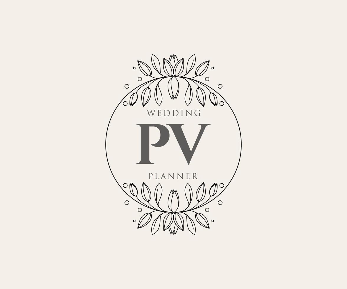 pv initialen brief hochzeitsmonogramm logos sammlung, handgezeichnete moderne minimalistische und florale vorlagen für einladungskarten, save the date, elegante identität für restaurant, boutique, café im vektor