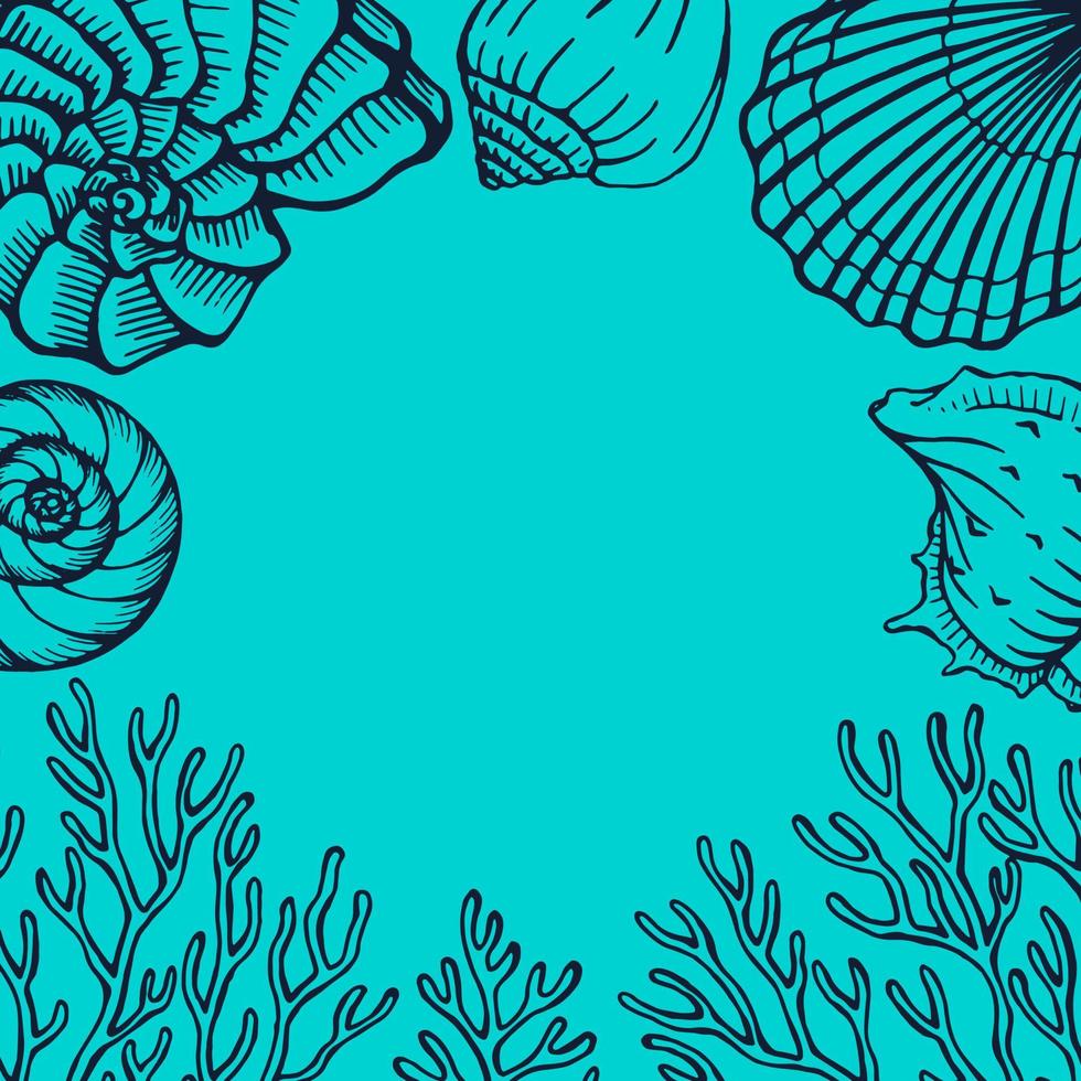 Muscheln und Korallenrahmen. Entwurfsvorlage für Meer und Ozean. Vektorkartenvorlagen. vektorillustration im skizzenstil. vektor