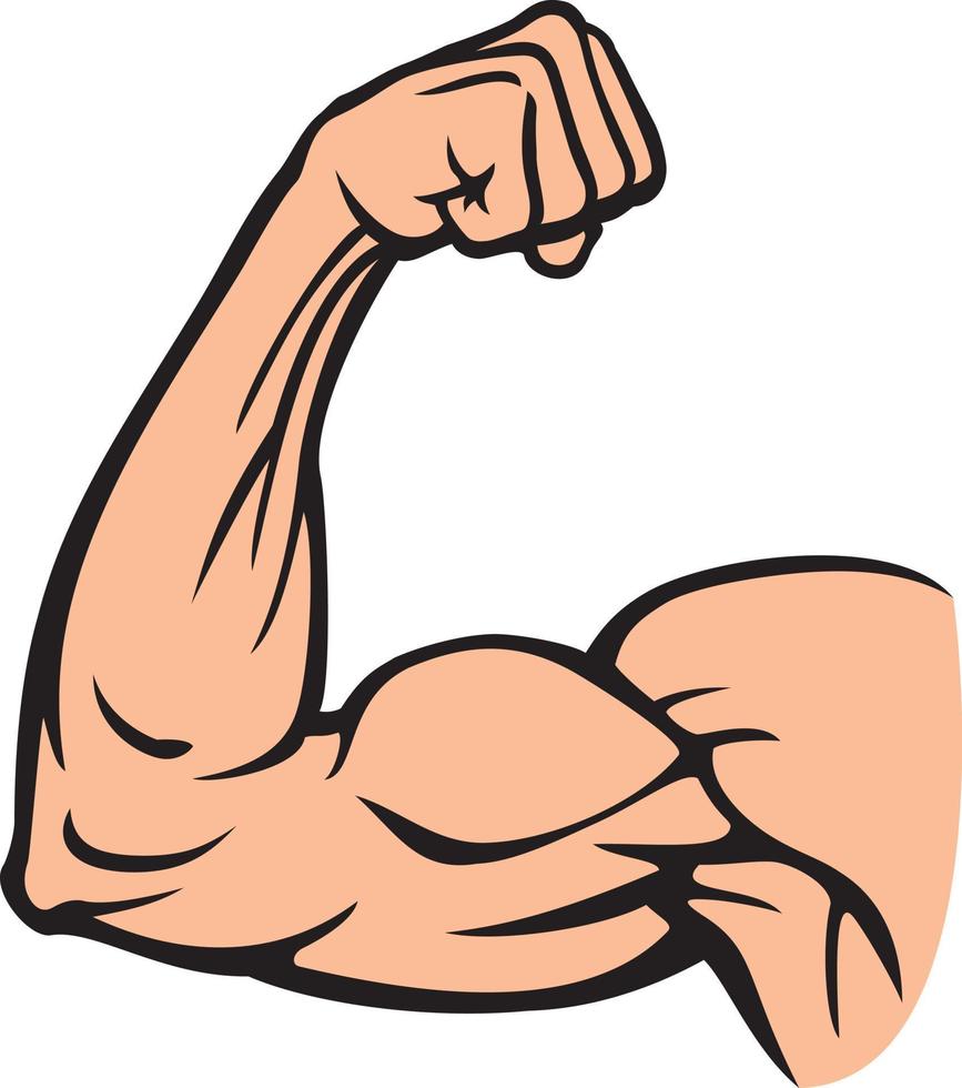 biceps muskel böjning - ärm som visar kraft, kroppsbyggare, kondition design. vektor illustration.