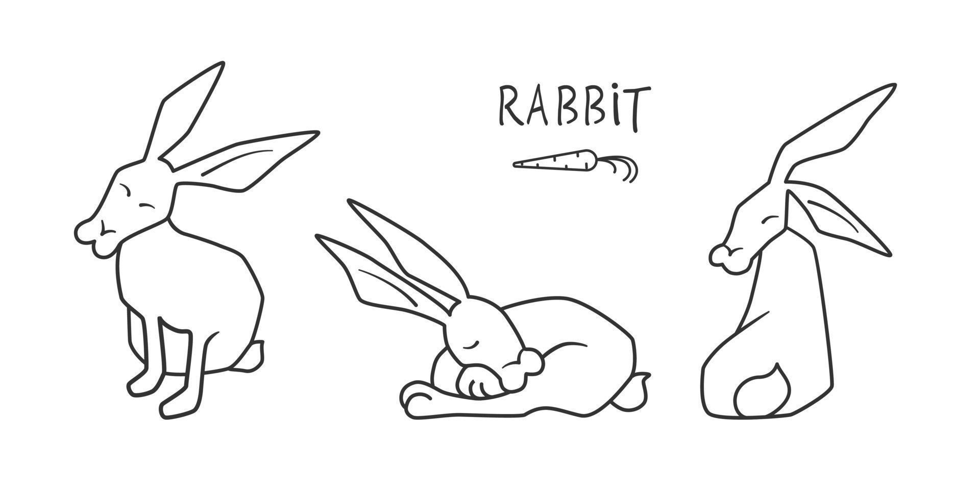 Umriss-Skizze-Vektor-Illustration-Kaninchen. Schwarz-Weiß-Minimal-Strichzeichnungssatz aus drei Hasen auf weißem Hintergrund vektor