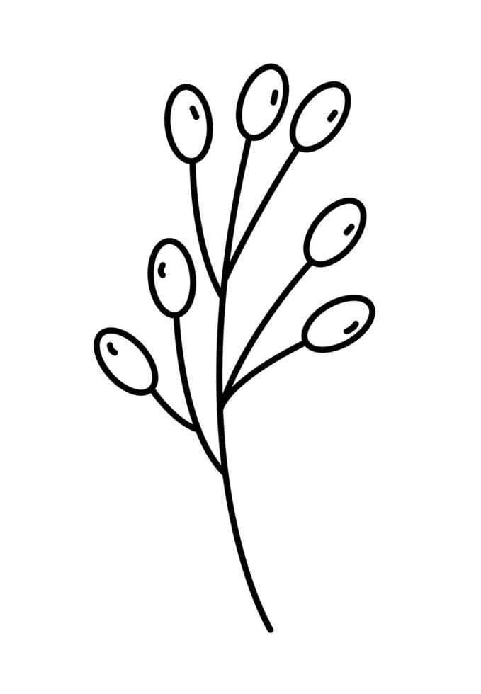hand dragen gren med bär översikt vektor ikon. tunn svart linje platt enkel element illustration från redigerbar natur begrepp isolerat stroke på vit bakgrund