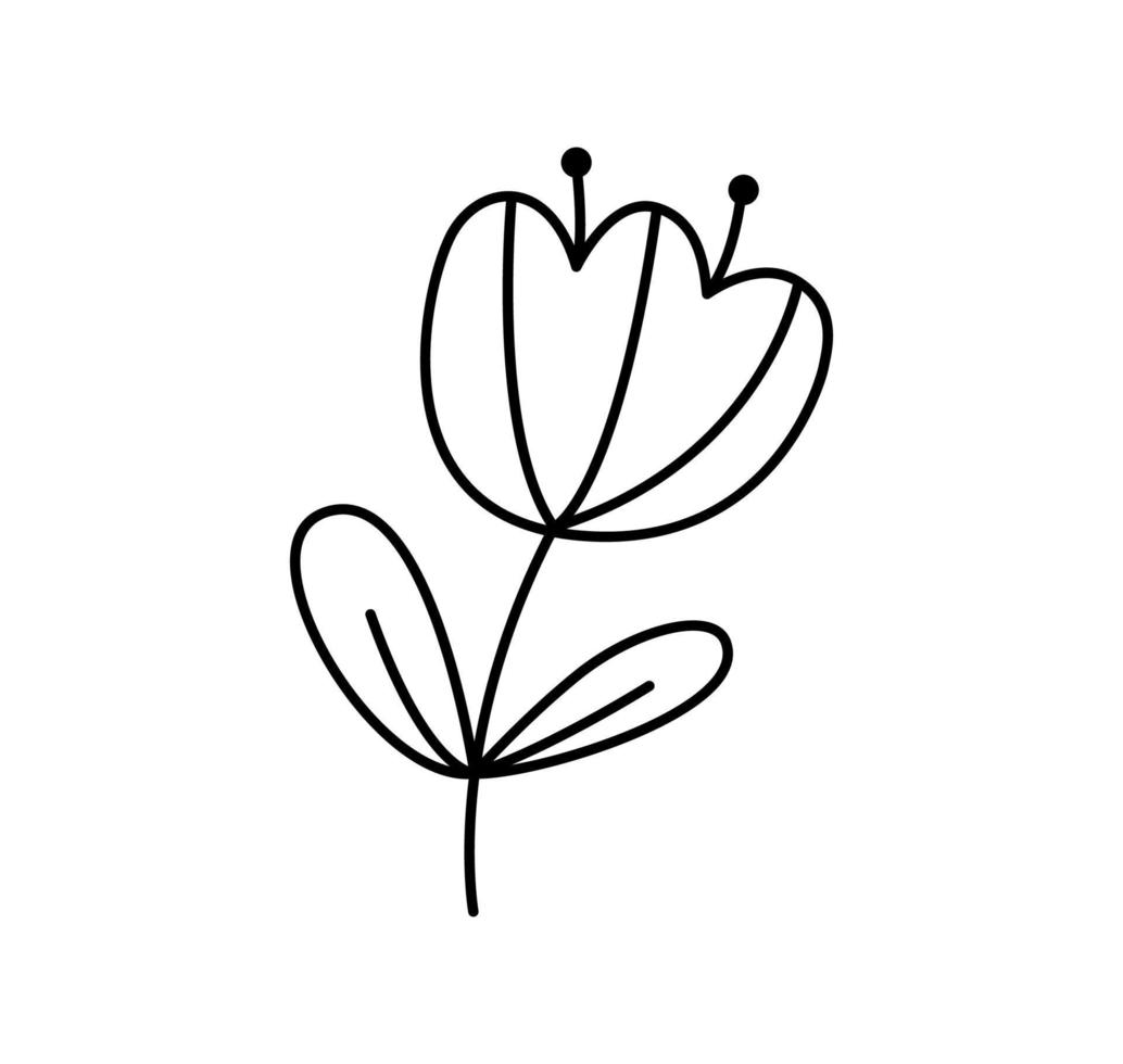 frühlingsvektor stilisierte blume mit monoline-linien. skandinavisches illustrationskunstelement. dekoratives Sommerblumenbild für Grußvalentinskarte oder -plakat, Feiertagsfahne vektor