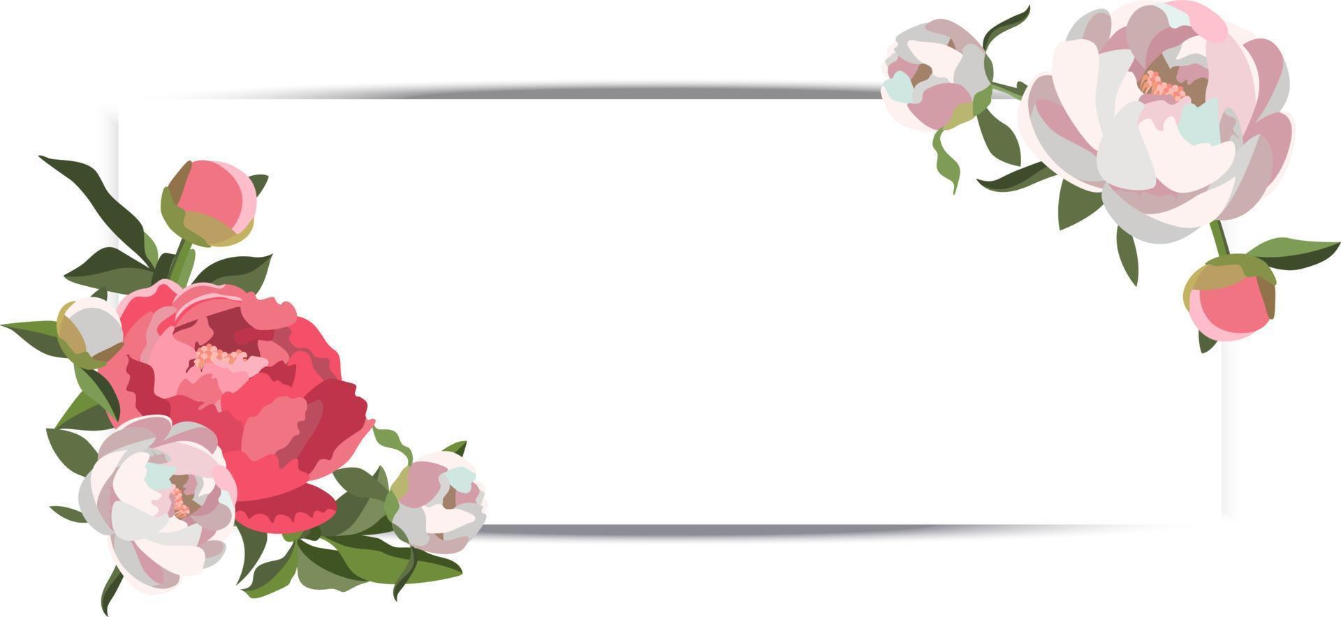 Vektor horizontales Hochzeitsbanner mit Blumenkompositionen aus weißen und rosa Pfingstrosen