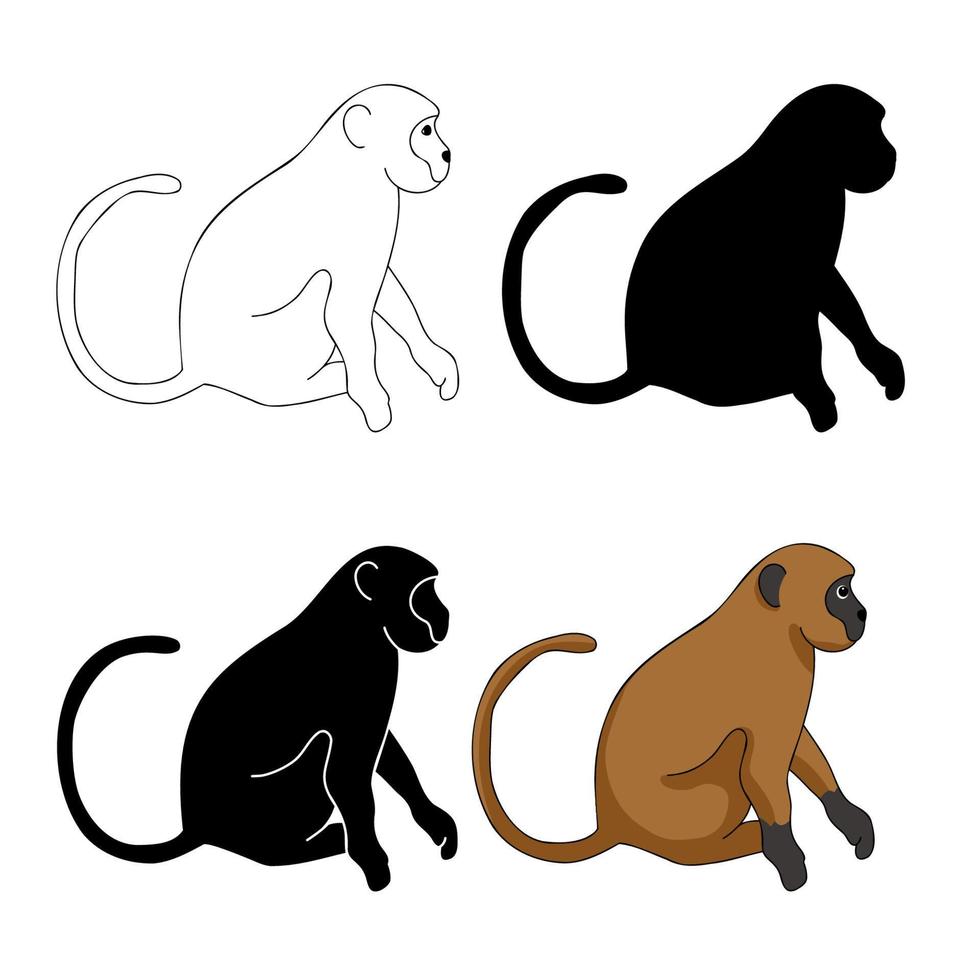 Affe Silhouette Kontur flach. Marmoset oder Erythrocebus Patas kleiner Primat. Element für Affenpocken-Infografik-Broschüre oder Tierkarten-Logo-Poster. Vektor-Illustration. vektor