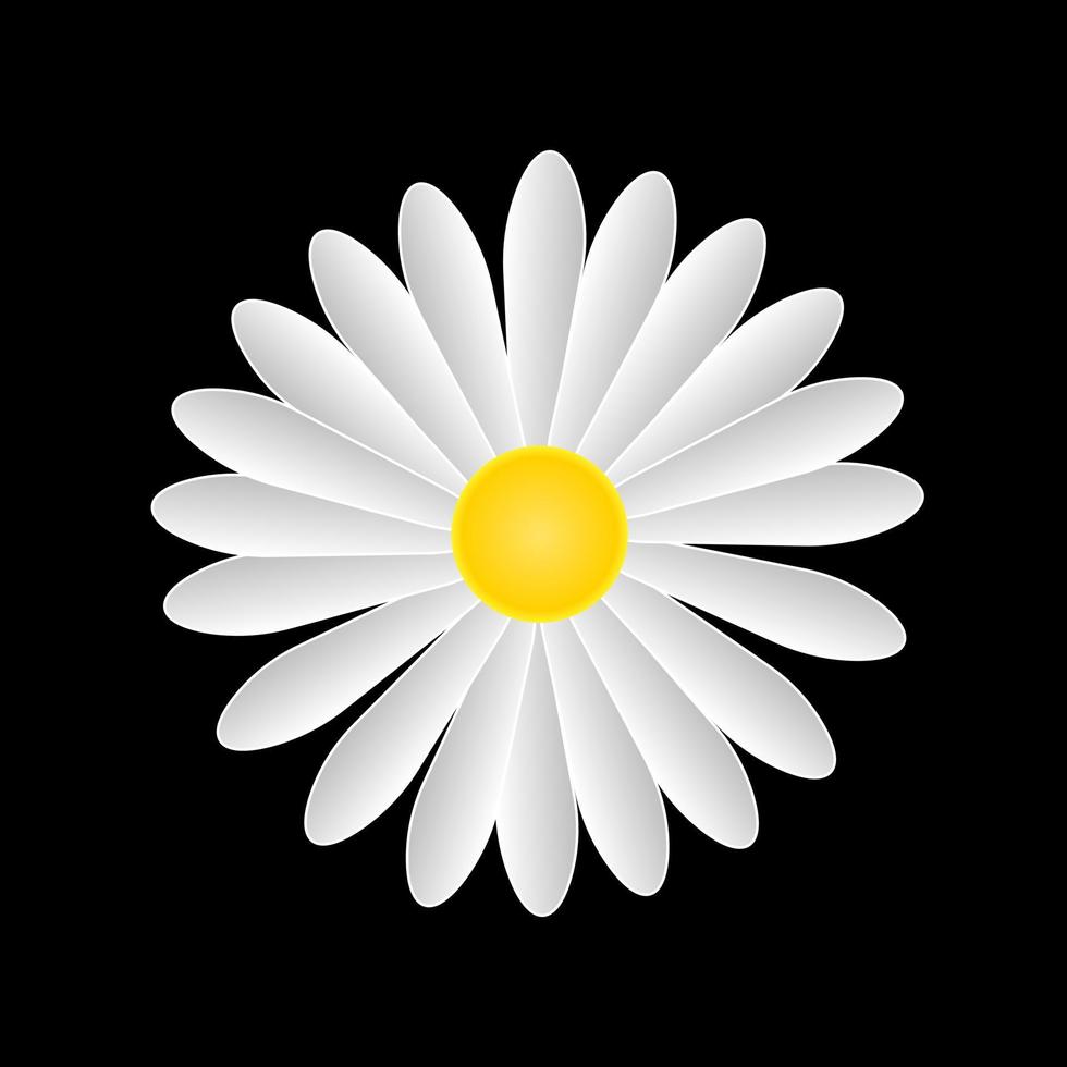 daisy blomma isolerat på svart. vektor design illustration