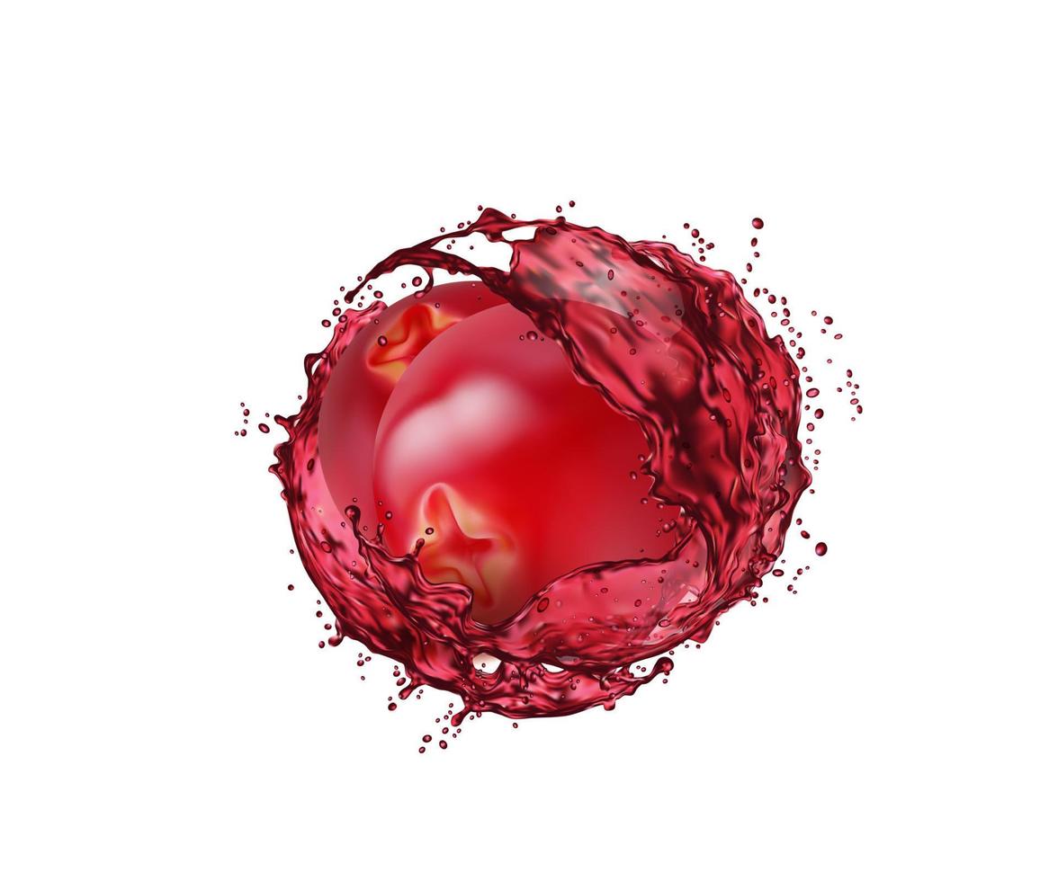 Cranberry-Beerenfrucht mit Saftspritzer vektor
