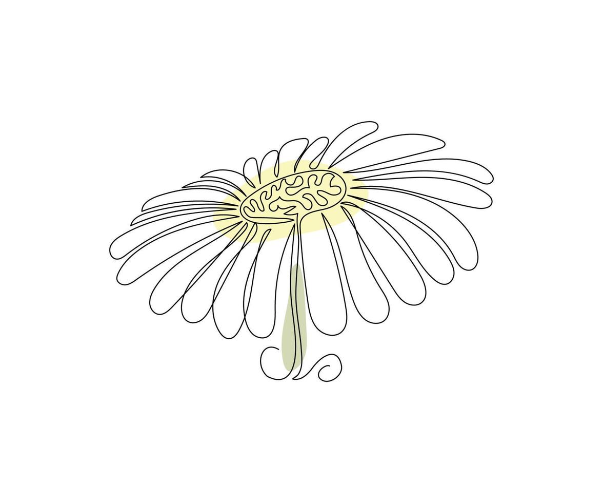 Die Gänseblümchenblume ist in einem minimalistischen Stil in der Technik einer Linie, einer Monolinie, von Hand gezeichnet. kosmetiksymbol, schönheitssalonlogo vektor