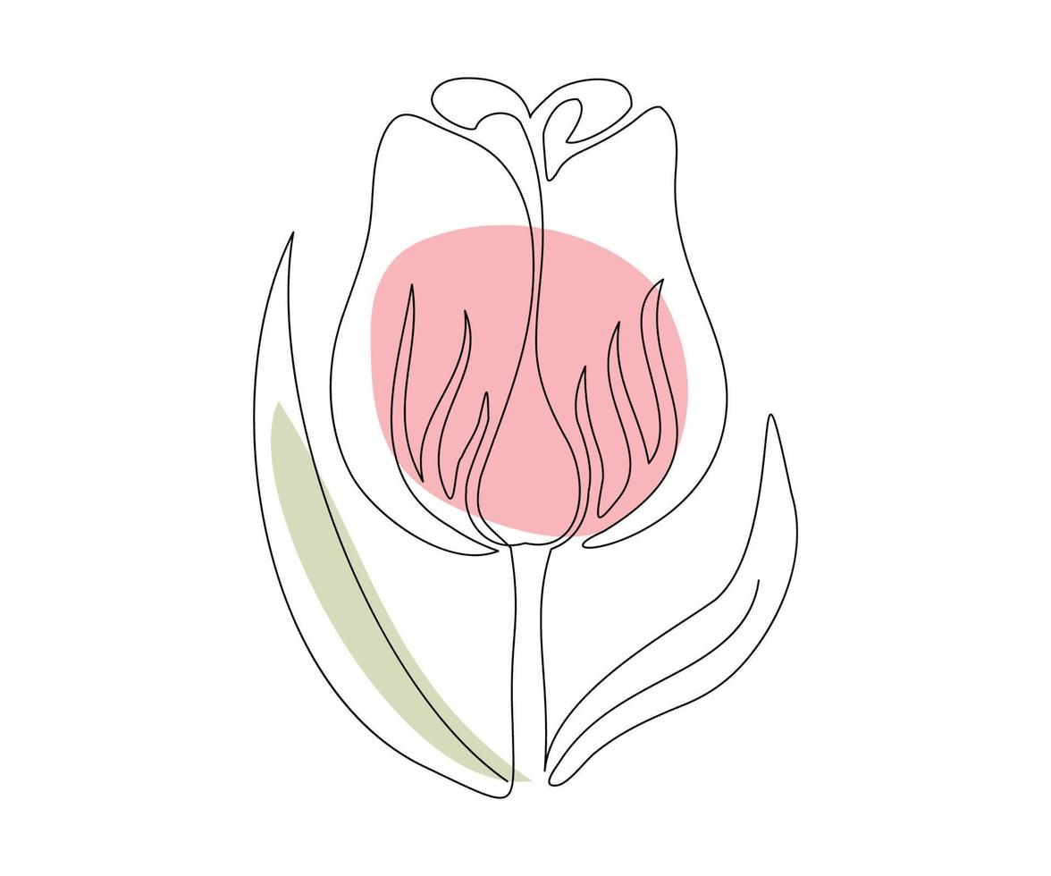 Die Tulpenblume ist in einem minimalistischen Stil in der Technik einer Linie, einer Monolinie, von Hand gezeichnet. kosmetiksymbol, schönheitssalonlogo vektor