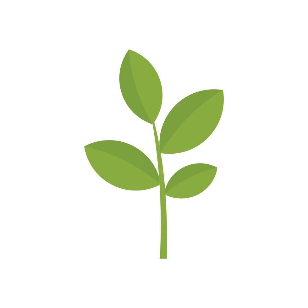 Matcha-Pflanzensymbol, flacher Stil vektor