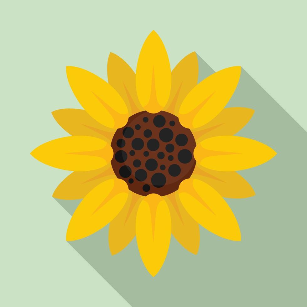 Bauernhof-Sonnenblumen-Symbol, flacher Stil vektor