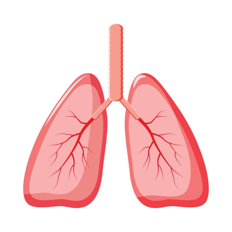 mänsklig lungor ikon i tecknad serie stil vektor