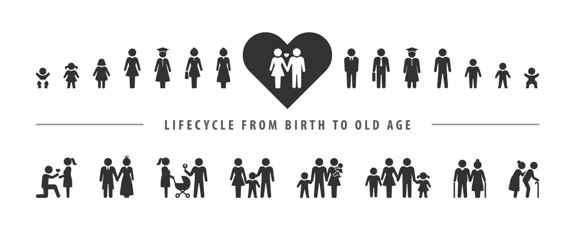 liv cykel och åldring bearbeta. vektor ikon uppsättning, person växande upp från bebis till gammal ålder.