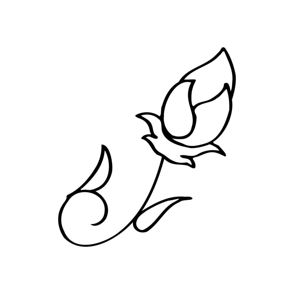 skizzieren Sie hübsche Blumenverzierungs-Skizzendesign. hand gezeichnete schwarze umrissblumenverzierung. Verzierungsillustration. einfache Cartoon-Doodle-Stil-Ornament-Skizze vektor