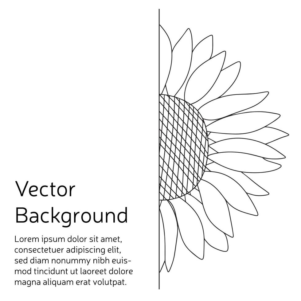 Vektorhintergrund mit halber Blume im Doodle-Stil ohne Farbe isoliert auf weißem Hintergrund vektor