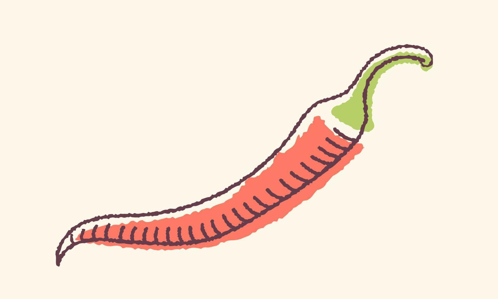 Vektor-Illustration von Chili-Pfeffer im Retro-Stil. Vektor-Vintage-Poster mit rotem Chili-Pfeffer auf buntem Hintergrund. scharfes Essen. vektor