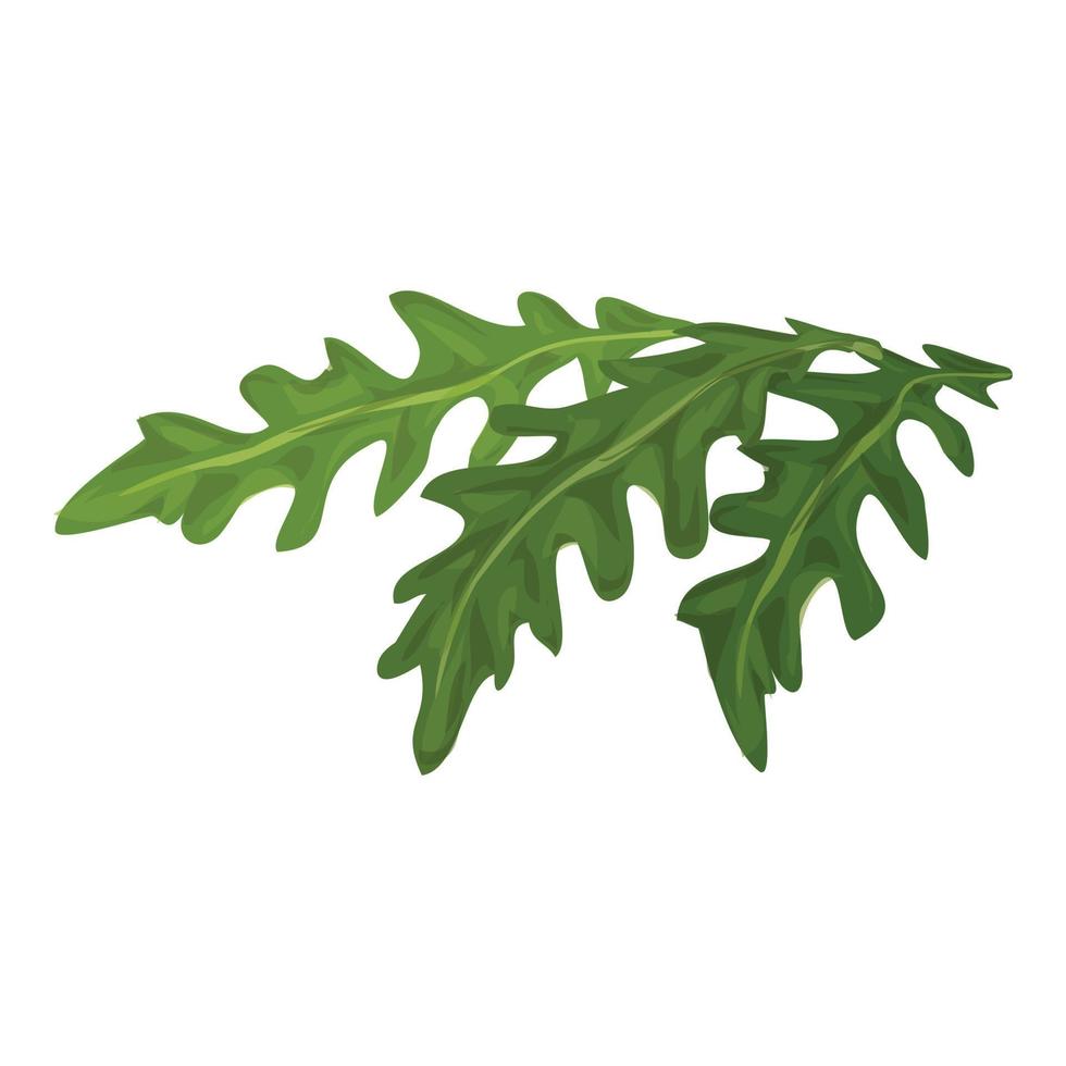 Rucola-Blätter-Symbol, Cartoon-Stil vektor