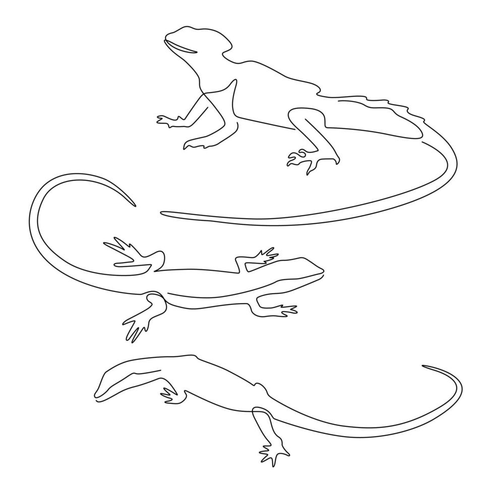 uppsättning av djur- kameleont och ödla linje konst , kontinuerlig linje. för logotyp design och skrivbar vektor