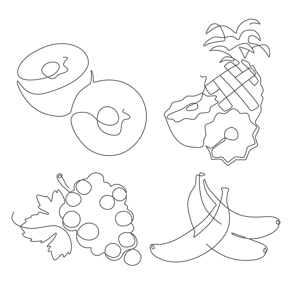 Strichzeichnungen Fruchtsymbolelement für Logo und druckbares Design Kiwi-Ananas-Traubenbanane vektor