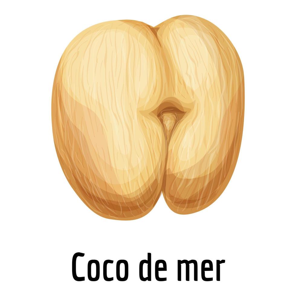 Coco de Mer-Symbol, Cartoon-Stil vektor