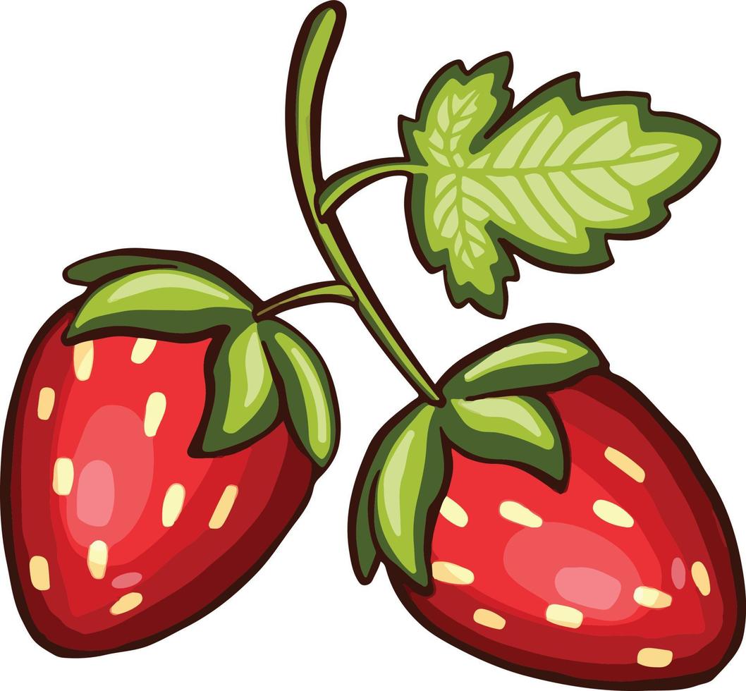 Beere rote Erdbeere. Vektor-Illustration-Cartoon-Stil. vektor