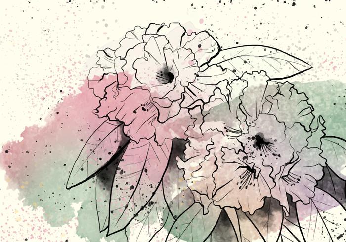 Rhododendron Akvarell Illustration vektor