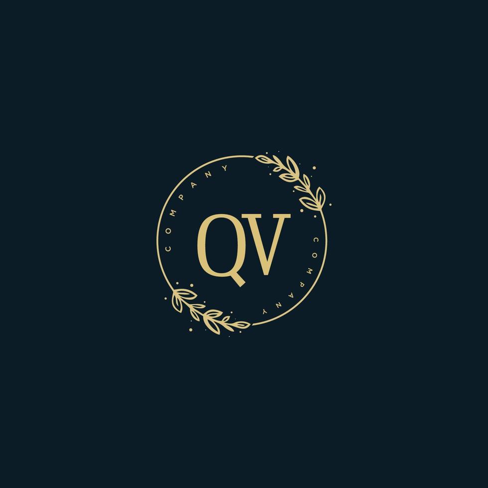 anfängliches QV-Schönheitsmonogramm und elegantes Logo-Design, Handschrift-Logo der Erstunterschrift, Hochzeit, Mode, Blumen und Pflanzen mit kreativer Vorlage. vektor