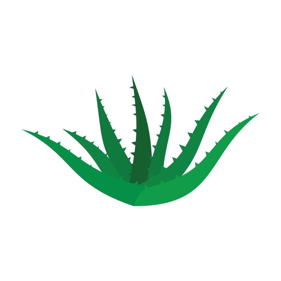 Aloe-Vera-Symbol, flacher Stil vektor