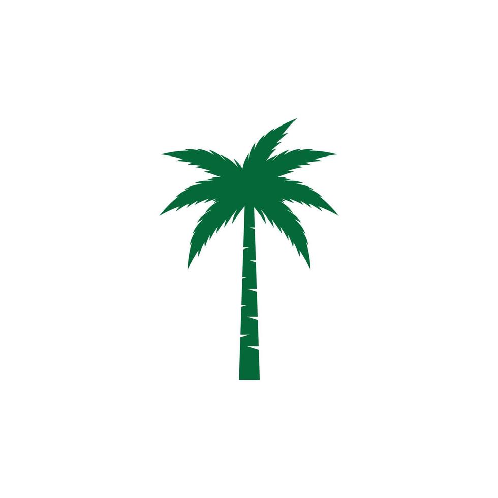 palme sommer illustration vektor