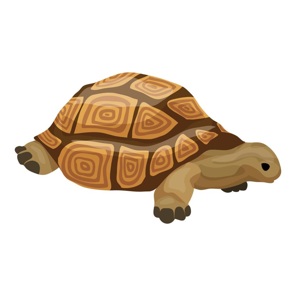Schildkrötensymbol, Cartoon-Stil vektor