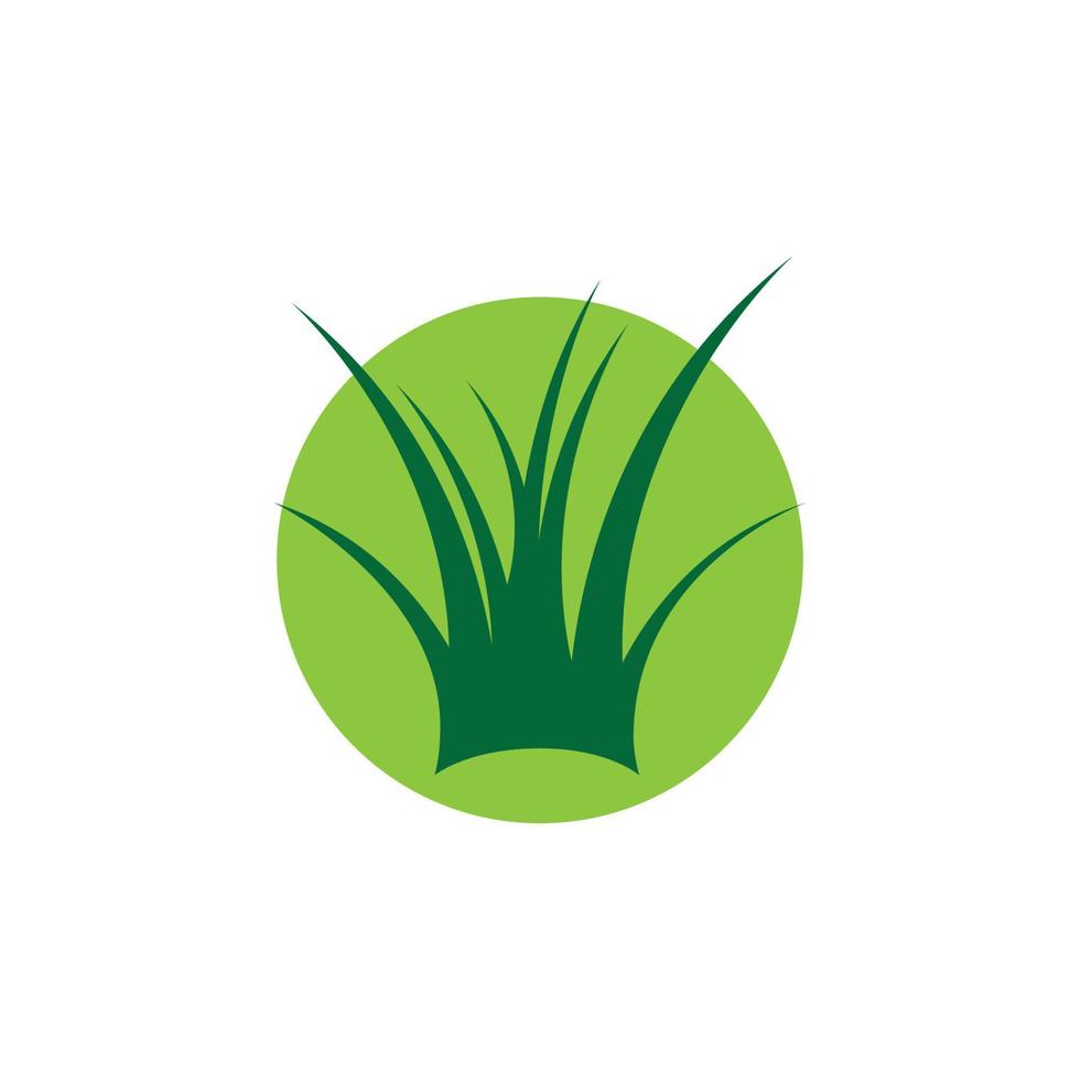 Gras-Logo-Vektor vektor