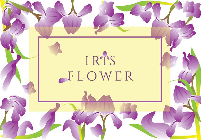 Iris-Blumen-Gruß-Karte Vektor