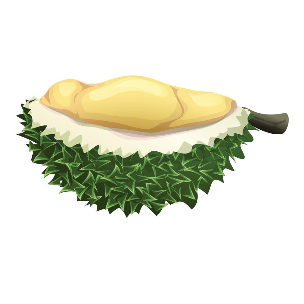 halbe Durian-Ikone, Cartoon-Stil vektor