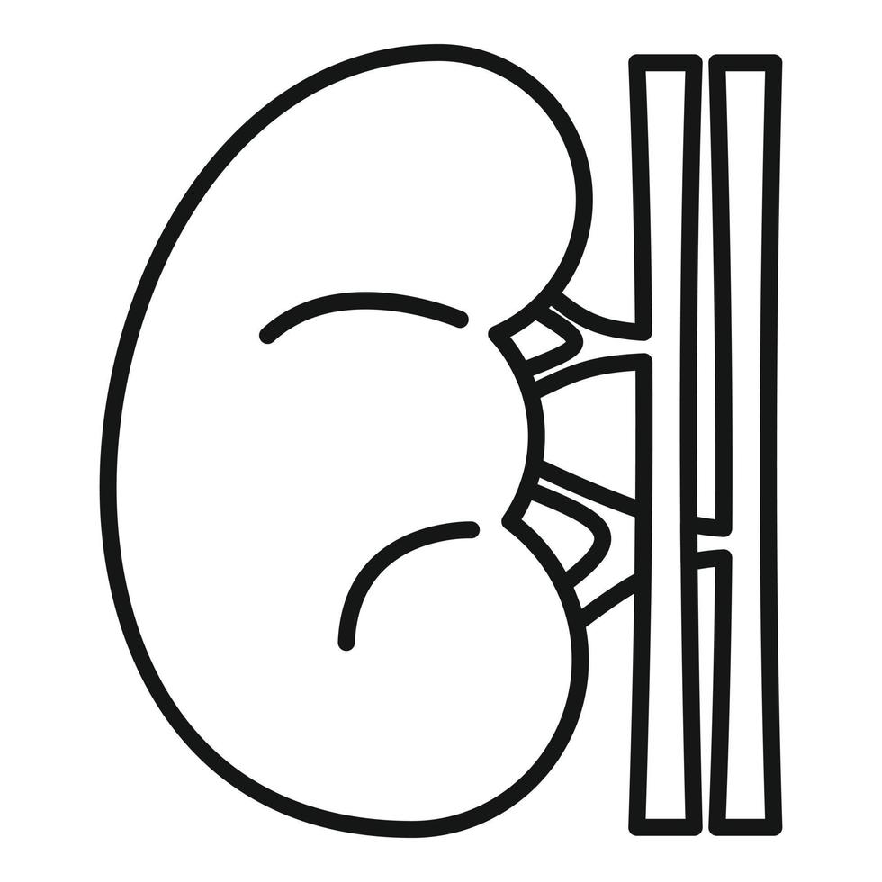 njur- njure ikon, översikt stil vektor