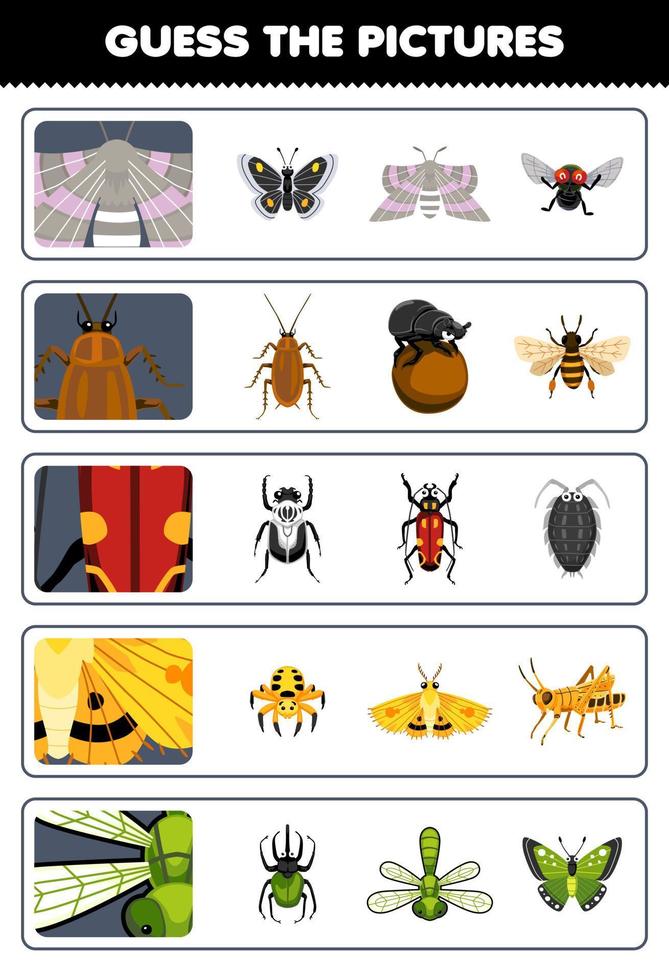 utbildning spel för barn gissa de korrekt bilder av söt tecknad serie fjäril kackerlacka skalbagge trollslända tryckbar insekt kalkylblad vektor