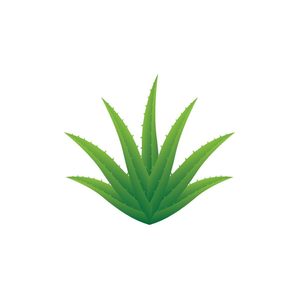 aloe vera cosmetic herbal logo images illustration vektor