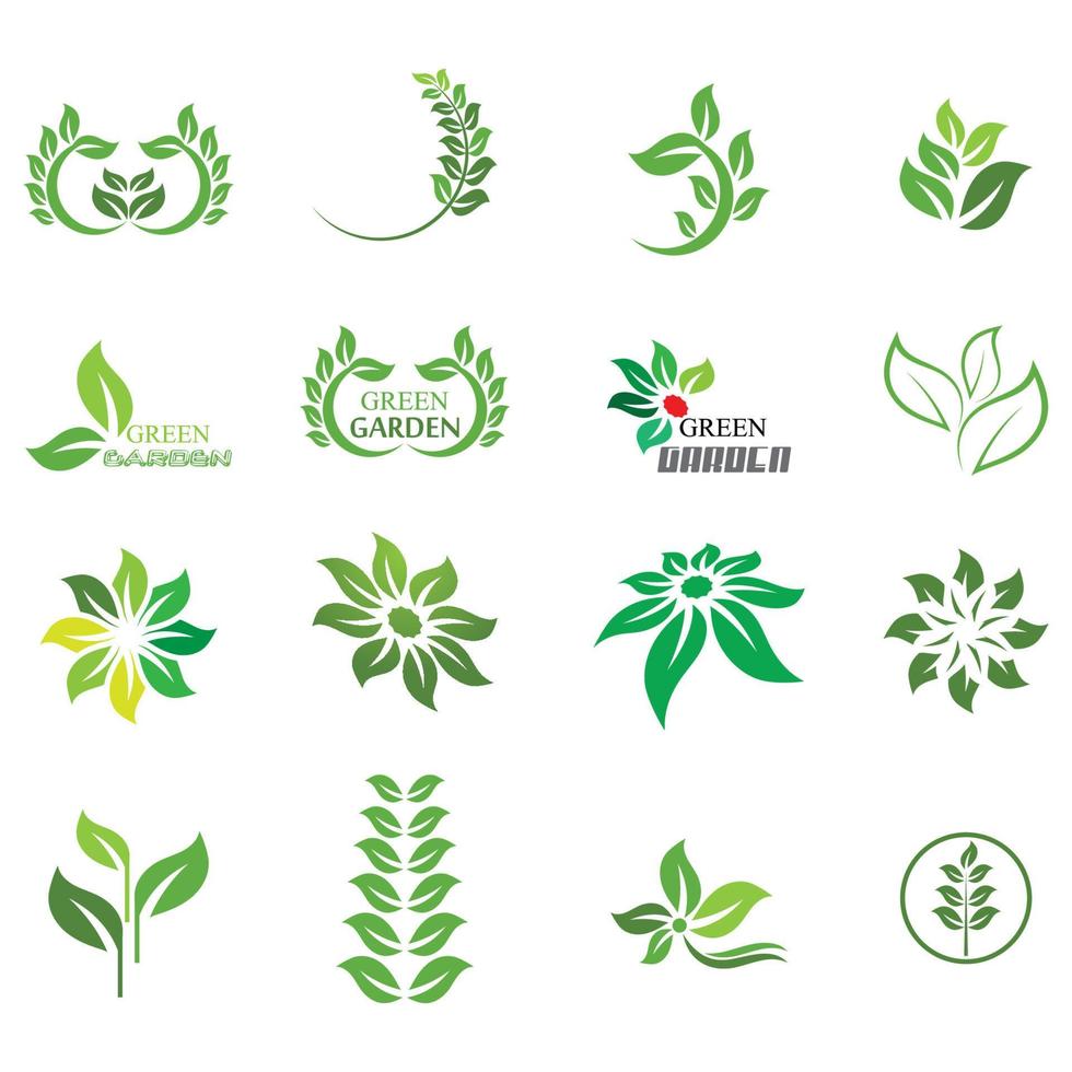 gröna blad illustration natur logotyp design vektor