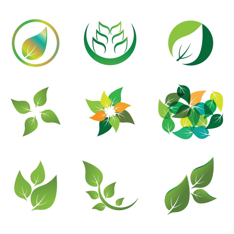 gröna blad illustration natur logotyp design vektor
